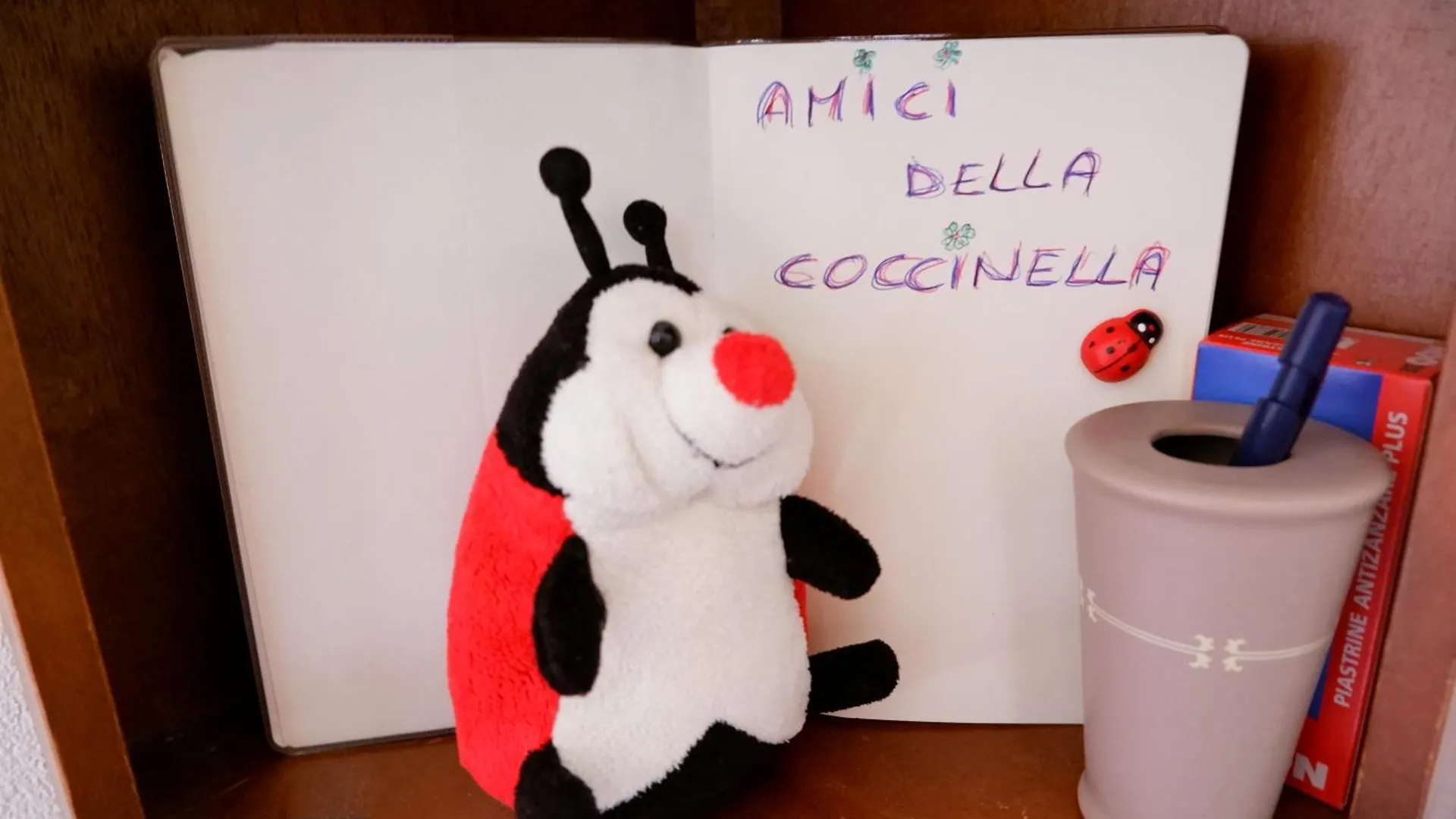 La Coccinella Bed & Breakfast Lavena Ponte Tresa