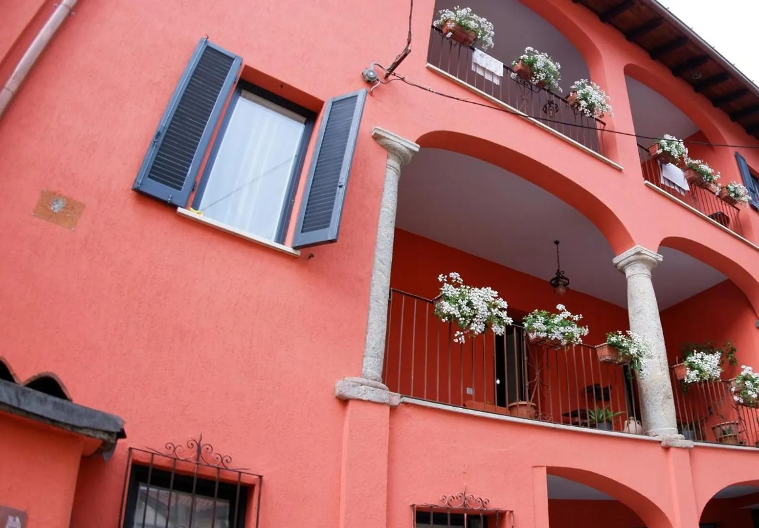 La Coccinella contacts